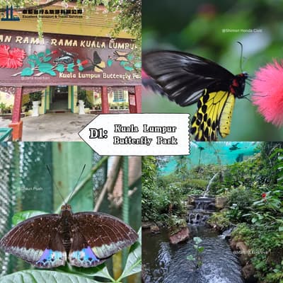 Kuala Lumpur Butterfly Park